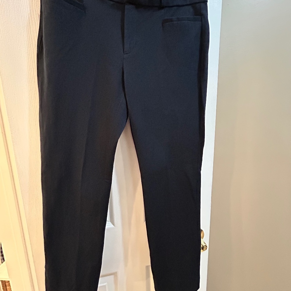 Jackson Fit Slim Navy Blue Pants – Size 8, 3/4 Length with Stretch
